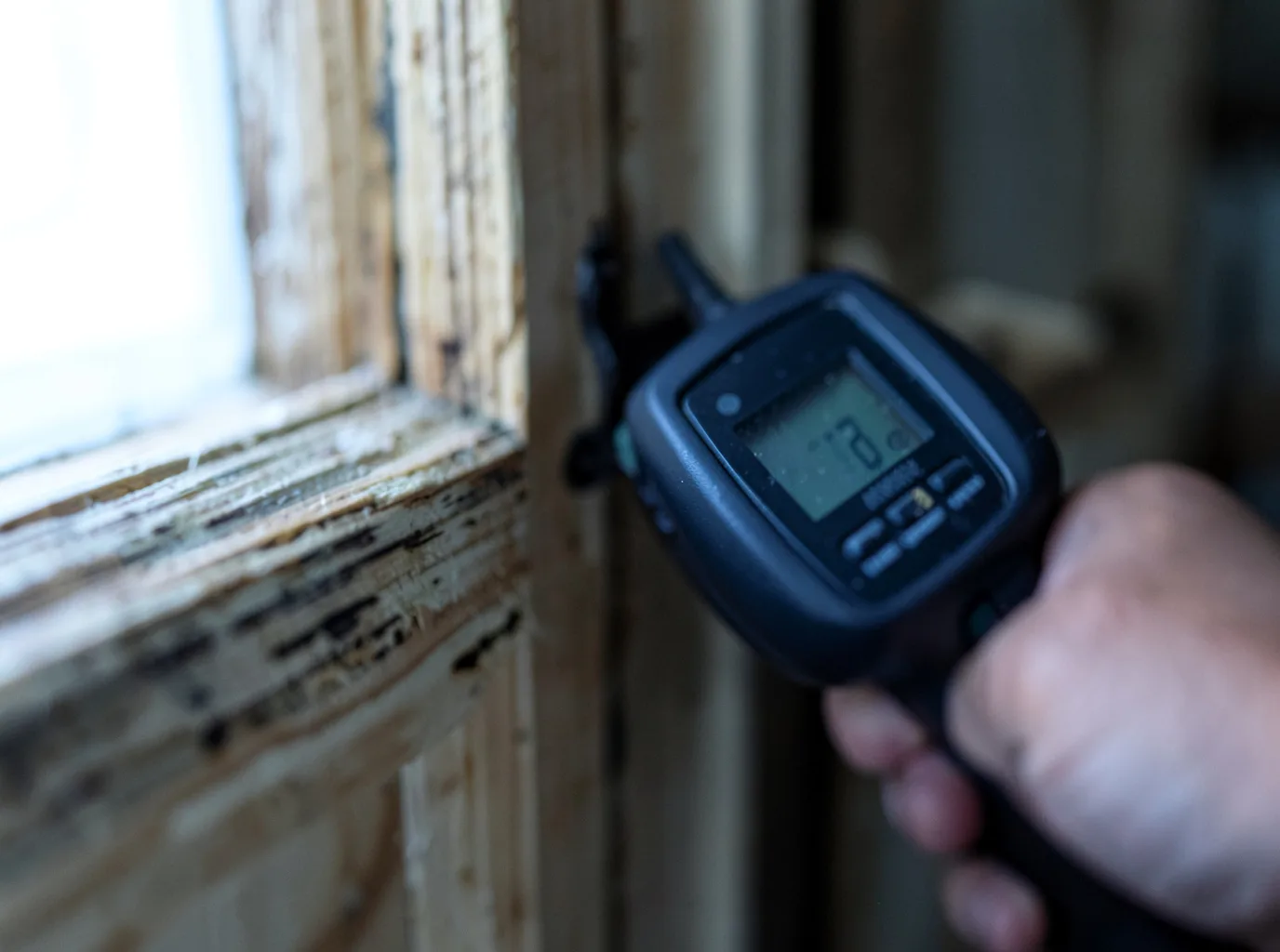 Moisture Inspection And Documentation in Goshen, NH